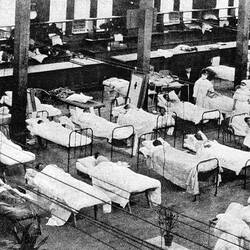 Photograph - Hospital Beds in Great Hall During Influenza Pandemic, Exhibition Building, Melbourne, Feb 1919