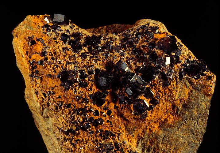 Cassiterite. [M 41052]