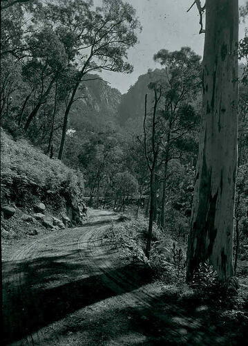 Lantern Slide - New Road, Mt Buffalo, Victoria, 1908. [BA 1981]