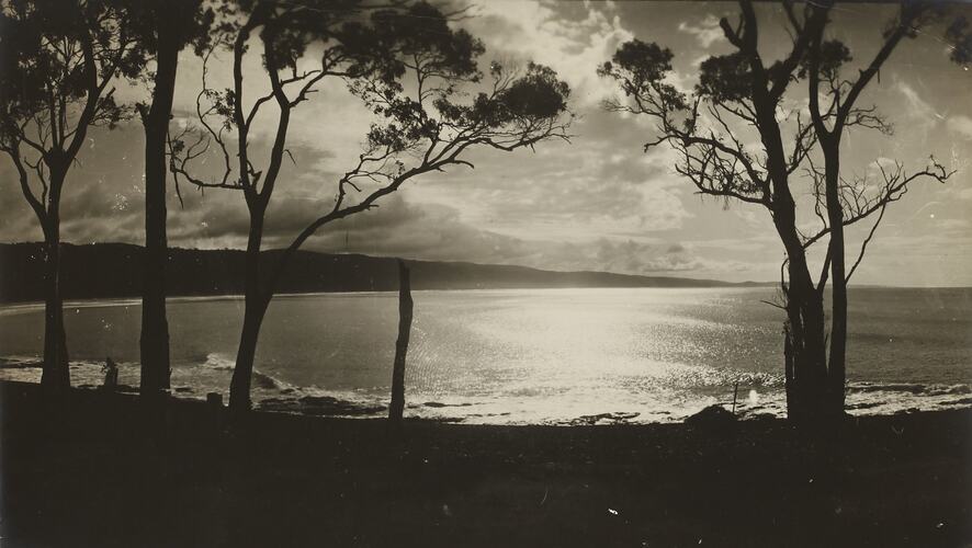 Photograph - Coastal Landscape, Lorne District, Victoria, circa 1930s