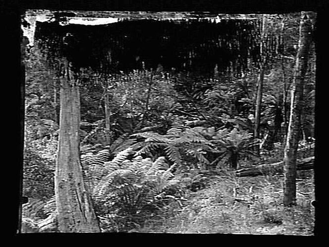 Negative - Glass