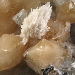 Detail of pale crystal spray.