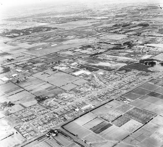 Negative - Aerial View of Moorabbin, Victoria, 20 Jan 1958