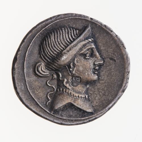 Coin - Denarius, Octavian, Ancient Roman Empire, 32-29 BC