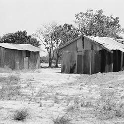 Negative, Gove, Northern Territory, Australia, 1968