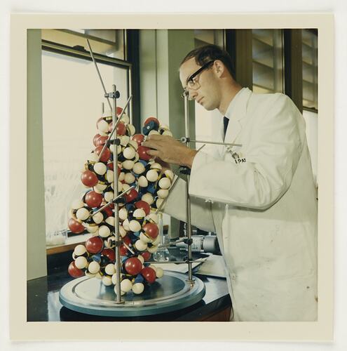 Slide 320, 'Extra Prints of Coburg Lecture', Chemist With Gelatine Molecule Model, Kodak Factory, Coburg, circa 1960s