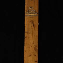 Timber Sample - Quandong, Santalum acuminatum, Victoria, 1885