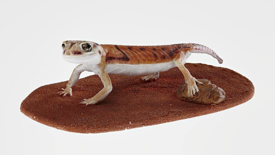 Cast model of gecko on brown base.