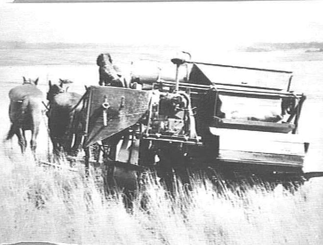 Photograph H.V. McKay Pty Ltd, Farm Equipment Manufacture & Field
