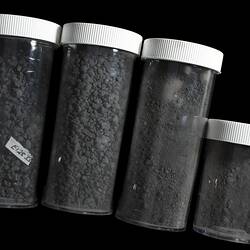 Karoonda Meteorite fragments. [E 12833]