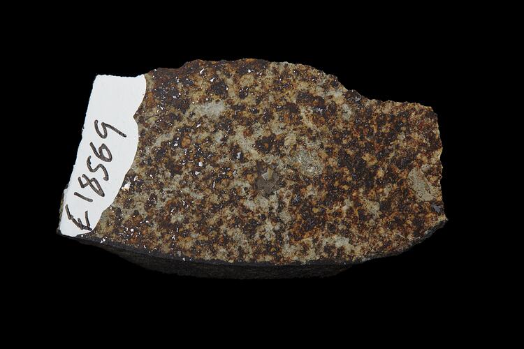 Hamilton Meteorite. [E 18569]