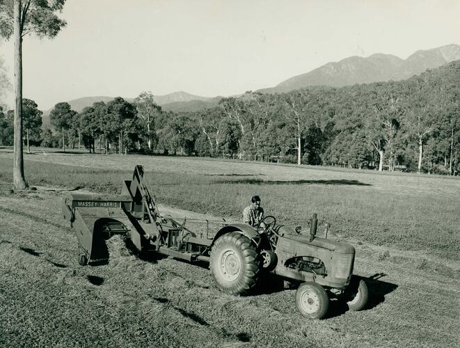 Man driving a tractor pulling a Pick Up Baler in a field surrounded by eucalypts.