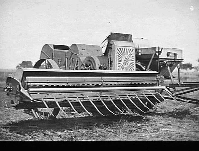 EXPERIMENTAL HEADER WORKING IN A CROP OF WHEAT YIELDING 8 BAGS PER ACRE AT MURTOA, VIC