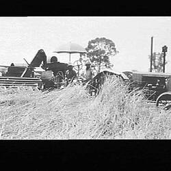 Photograph - H.V. McKay Massey Harris, No.2 Reaper Thresher Drawn by 20/30 Massey Tractor, Quandialla, New South Wales, Jun 1932