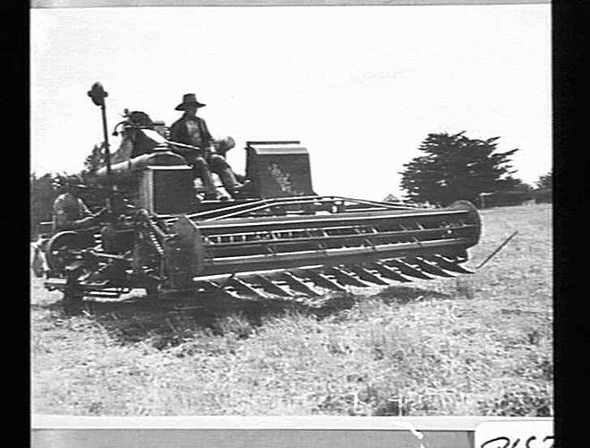 AUTO AT WORK IN PEAS ON MR. ARTHUR TEESE PROPERTY, SMEATON, VIC: FEB 1933