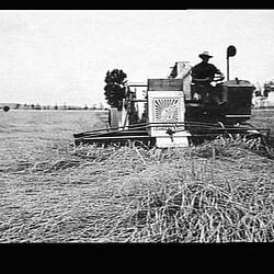 Photograph - H.V. McKay Massey Harris, Farm Equipment Manufacture & Field Trials, Gunnedah, New South Wales, Jan 1934