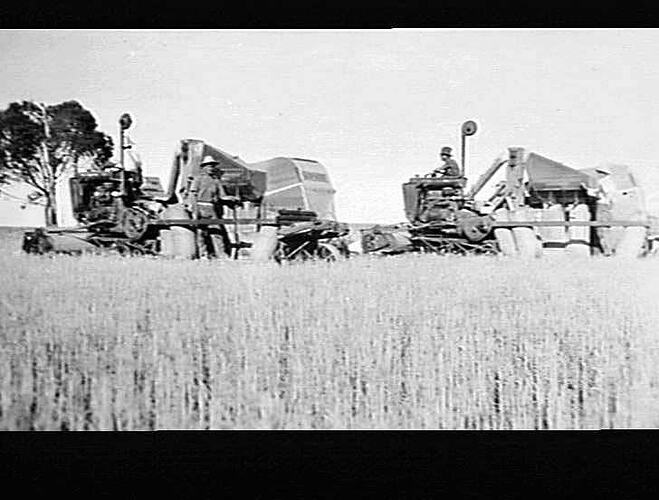 C & V PIETSCH'S 14 FT AUTOS AT WORK