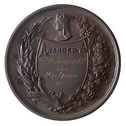 Medal - National Agricultural and Industrial Assocation of Queensland, 1877 AD