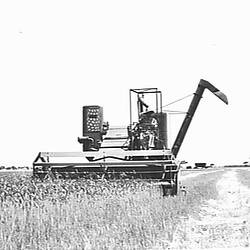 Photograph - H.V. McKay Massey Harris, Farm Equipment Manufacture & Field Trials, Nullawil, Victoria, Dec 1953