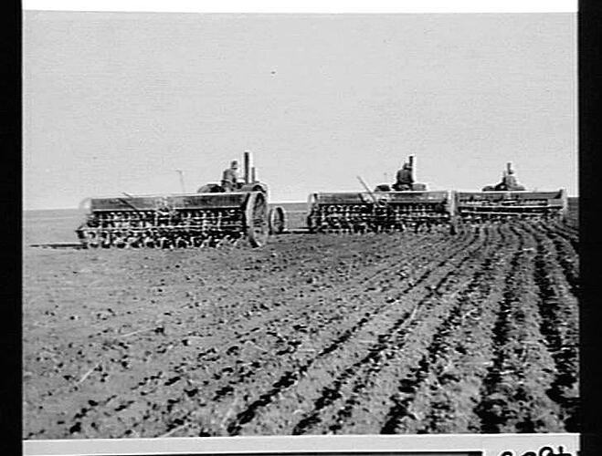 3 `SUNTYNES' AT WORK AT BILLANANGA PROPERTY OF J. J. POYNTON, NEAR THREE SPRINGS, W. AUST: JUNE 1937