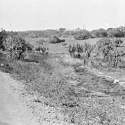 Negative - Darwin, Northern Territory, 1935