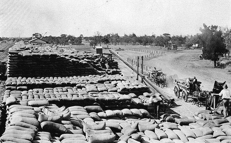 Wheat stacks at Sea Lake Station, circa 1910.