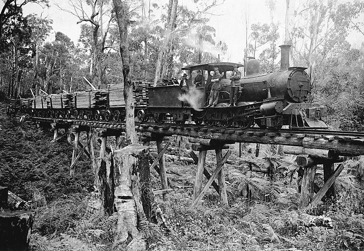 Transporting milled timber, Mullungdung, circa 1915.