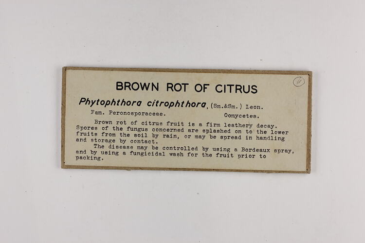 White rectangular label with black text and brown border.