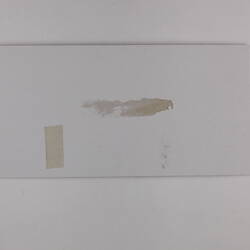 Plain back of a white exhibition label.