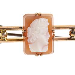 Double gold bar with central rectangular reddish-brown and white female cameo bust facing right.