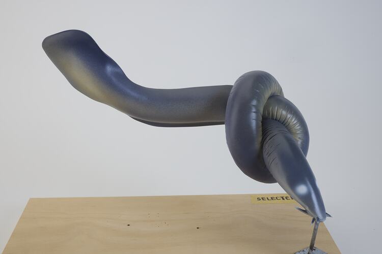 <em>Eptatretus cirrhatus</em>, Broadgilled Hagfish, model. [A 26658-002]
