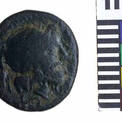 Coin - Semis, Brundisium, Calabria, Italy, circa 200 BC