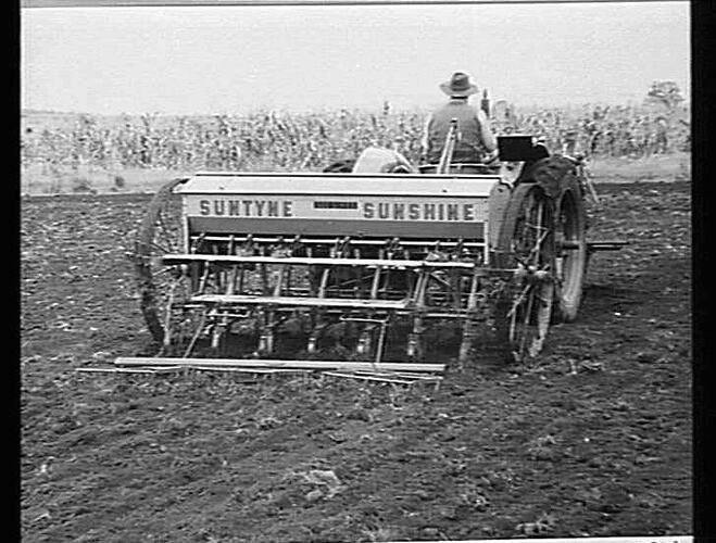 12 ROW `SUNTYNE' (500 SERIES) A. R. ELLWOOD, KINGAROY, QLD: MAY 1952