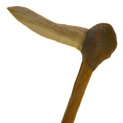 Stone Axe (detail)