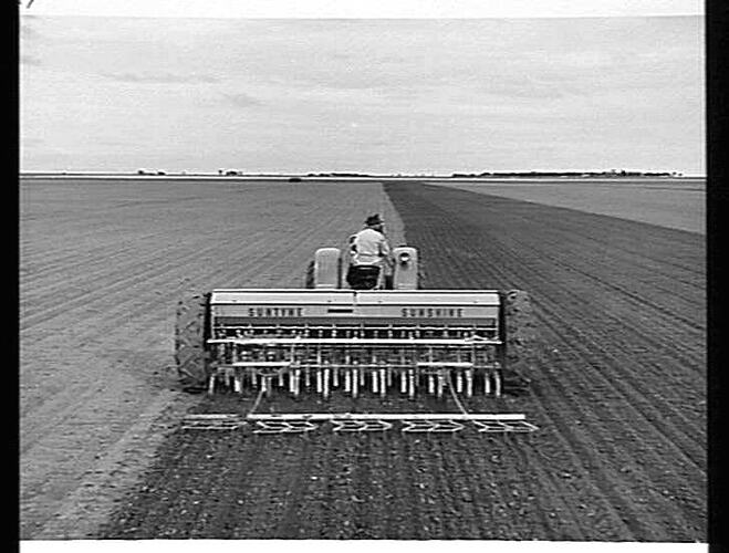 BROAD ACRES. A TYPICAL SCENE AT SEEDING TIME IN THE WIMMERA. MR. R. GIDDINGS, BLACKHEATH VIA HORSHAM, WITH HIS SUNSHINE MASSEY HARRIS 55K TRACTOR, 500-SERIES `SUNTYNE' CULTIVATING DRILL AND `SUNTOW' STUMP-JUMP HARROWS: JUNE 1952