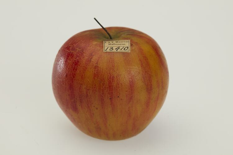 Red wax apple model.