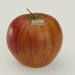 Red wax apple model.