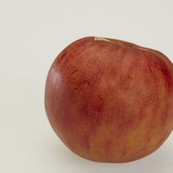 Wax model of red apple.