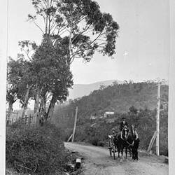 Photograph - 'Road Near Hobart', by A.J. Campbell, Hobart District, Tasmania, circa 1895
