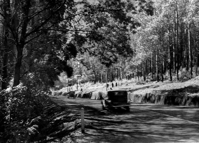 Lantern Slide - Belgrave-Kallista Road, Kallista, Victoria, Sep 1938 [BA 1590]