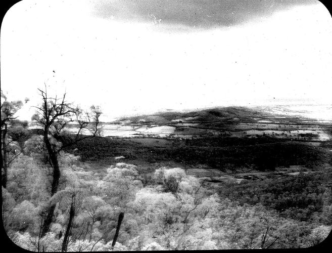 Lantern Slide - Dandenongs, Victoria, Date Unknown. [BA 1691]