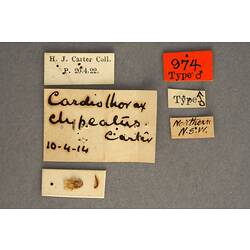Handwritten specimen labels.