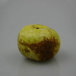 Green and brown wax model of an apple.