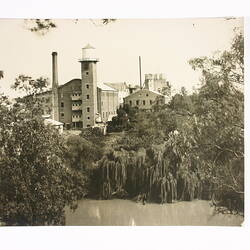 Photograph - Exterior View of Factory Site, Trees and Yarra River, Kodak, Abbotsford, early 20th century
