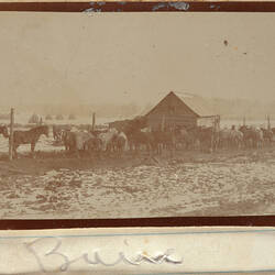 Snowy landscape with large group of horses in front of a wooden house.