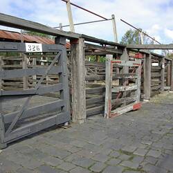 Numbered Pen and Gates,  Newmarket Saleyards