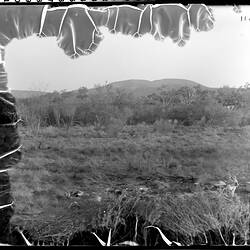 Glass plate. Central Mount Stuart, Central Australia, Northern Territory, Australia. 03/06/1901