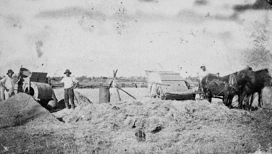 Men using a hand winnower. Horses at right.