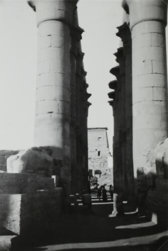 Photograph - Luxor Temple, Luxor, Egypt, World War II, 1939-1943