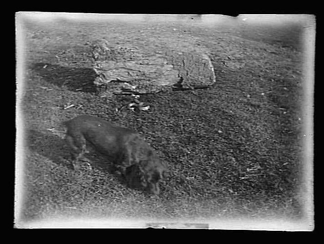 Negative - Glass